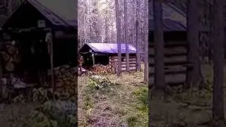 Избушка, попавшая на 1 центральный ТВ в криминальной передаче