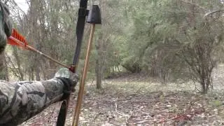 Shit shot show