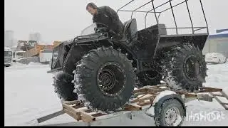 и снова косач вылетел из гнезда