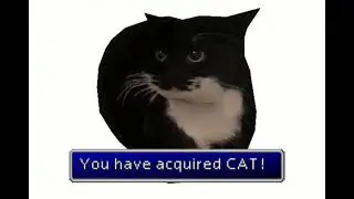 You have acquired CAT! (Maxwell the Cat)