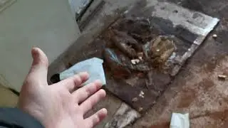 Заброшенный дом 5, первый подъезд