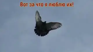 Что же это такое! То одно, то другое......