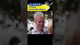 Почему страус не может взлететь?