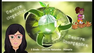 Basura Orgánica e Inorgánica (3° Año - Primaria)