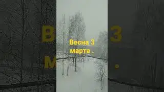 пришла ВЕСНА !