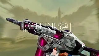 PUNGI • VALORANT MONTAGE 🔫🔥 || VEX GAMING 🎮