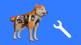 How to fix a dog