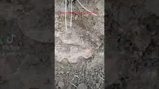 Коп металла
