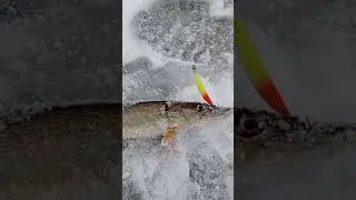 по щучьему веленью