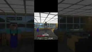 a pet enderman in minecraft