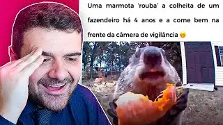 O ANIMAL MAIS GÂNGSTER DO MUNDO - Degustação de Memes #99