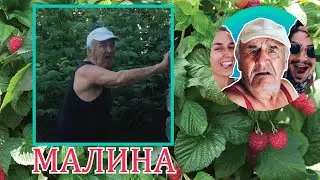 TOLYA'S GRANDFATHER - RASPBERRY