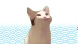 Pop