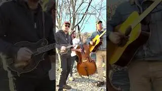 “Daydream Quarantina”  #newmusic #acousticmusic #americana #altcountry
