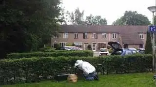 Huge Swarm of Bees / fearless man is searching the queen bee 2 with protection