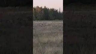 24 октября 2021 г.