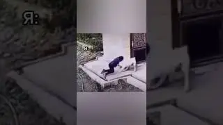 борьба помогает