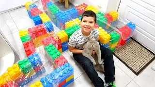 Лабіринт для Кота /Labyrinth for the Cat