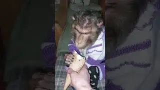 привет от Ринушки👋😋 