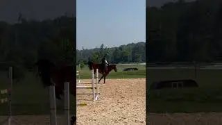 What a wonderful 5 year old stallion, Gronk #jumped great today ahead of 2 weeks in Tryon!