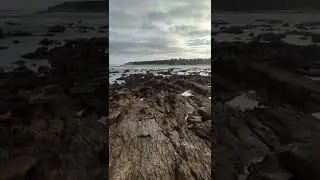 Rocky Shoreline