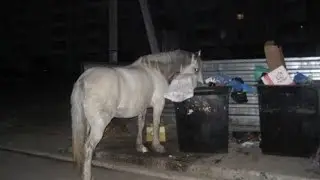Cursed Images with Old Town Road by Lil Nas X (feat. Billie Ray Cyrus)