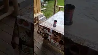дача 17.07.2024