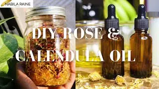 DIY Rose & Calendula Infused Oil Using Sun Power ☀️