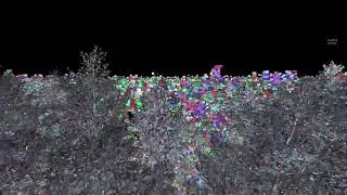 Unreal Engine 5.7 - Nanite Foliage Voxelize - 100% Geometry Nanite Trees