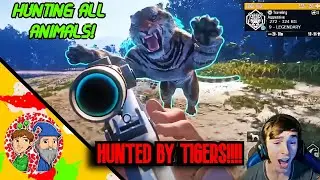 hunted by tigers