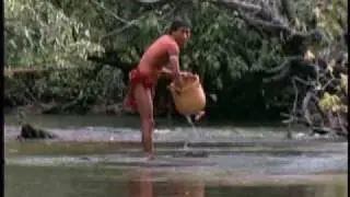 Killer Instincts Piranha Wolf In The Water Part.(1/6)