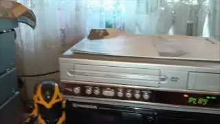 PHILIPS DVP3100V