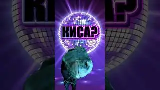 ПЕСНЯ ВЫШЛА 🤍