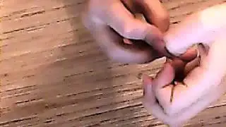 Браслет (Под завязку)