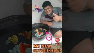 படிக்கட்டு கீழ் Guppy மீன் தொட்டி  🐠 means happy Guppy 😍