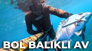 FIRTINALI HAVADA DALIŞ VE GÜZEL BALIKLAR - - Zıpkınla Balık Avı Vlog - 22
