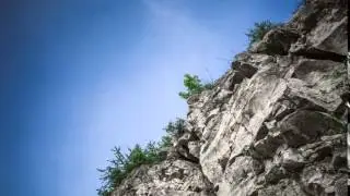 THE ENDERDRAGON IN REAL LIFE! | A Test Animation