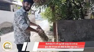 ગૌ ગ્રાસ ,GAU grass, गौ ग्रास का बिलीमोरा मैं गौ वंश को भोग दिया गया#gausevasansthan #गौमाता