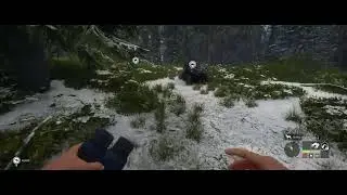 theHunter: Call of the Wild