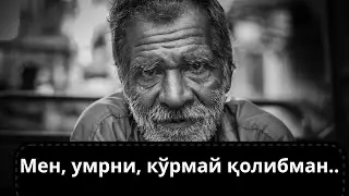 МЕН, УМРНИ, КЎРМАЙ ҚОЛИБМАН