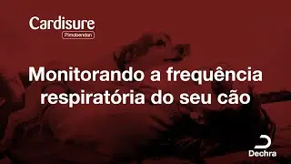 Cardisure - Respiratório