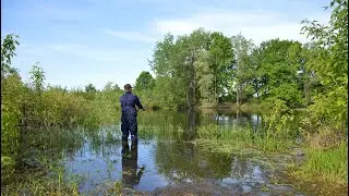 Урок спиннинга от Васи и окуни за пол кило