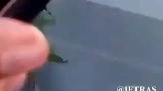 Чудеса Аллаха