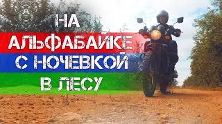 Дождливая покатушка на Альфе с ночевкой в лесу.