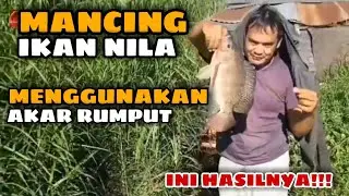 MANCING IKAN NILA MENGGUNAKAN AKAR RUMPUT INI HASILNYA||DI DANAU BATUR KINTAMANI BALI