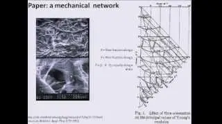 Nanomanufacturing: 21 - Organization and properties of nanostructure networks