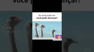 Tudo que você pode VER você pode ALCANÇAR!