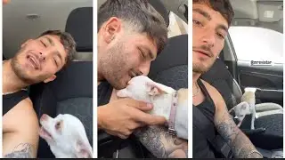 chihuahua 2022/mreviatar/niki chihuahua/nikki chihuahua videos