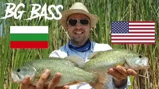 Нов вид риба! Български големоуст костур /  Largemouth bass BG