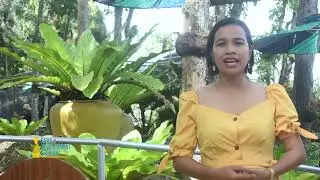 Family Development Session (FDS) | April 21, 2022